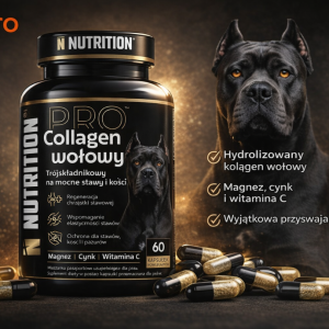 109d17a0739fd90653360bf191d3028b